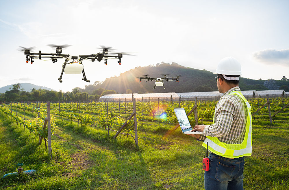 Un agricultor usa drones sobre sus campos.