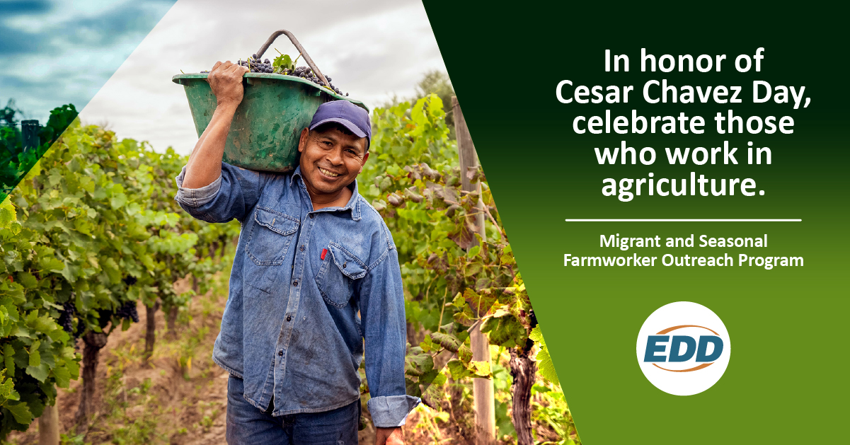 Smiling farmworker holding a bucket of grapes in a vineyard and text honoring farmworkers on Cesar Chavez Day.