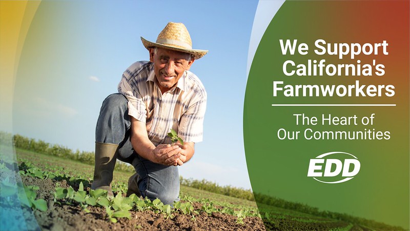 An older farmworker in a straw hat kneels on the ground of a field. He cups his hand around some soil and smiles. Text to the right reads “We Support California’s Farmworkers. The Heart of Our Communities.” The EDD’s logo is below the text.