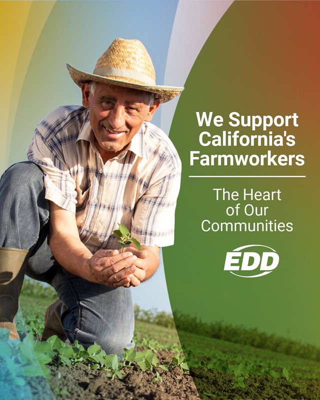 An older farmworker in a straw hat kneels on the ground of a field. He cups his hand around some soil and smiles. Text to the right reads “We Support California’s Farmworkers. The Heart of Our Communities.” The EDD’s logo is below the text.