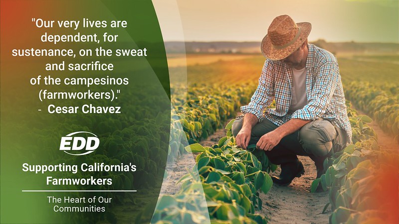 A farmworker kneels over the field wearing a straw hat. A quote from Cesar Chavez reads “Our very lives are dependent, for sustenance, on the sweat and sacrifice of the campesinos [farmworkers].” Below it is the EDD and the slogan “Supporting California’s Farmworkers. The Heart of Our Communities.”