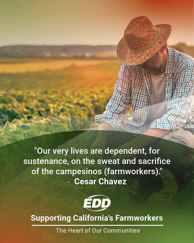 A farmworker kneels over the field wearing a straw hat. A quote from Cesar Chavez reads “Our very lives are dependent, for sustenance, on the sweat and sacrifice of the campesinos [farmworkers].” Below it is the EDD and the slogan “Supporting California’s Farmworkers. The Heart of Our Communities.”