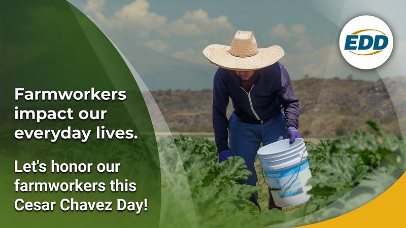 A farmworker in a wide straw hat and gloves harvests crops in a field. Overlaid text reads, &ldquo;Farmworkers impact our everyday lives. Let&rsquo;s honor our farmworkers this Cesar Chavez Day!&rdquo;