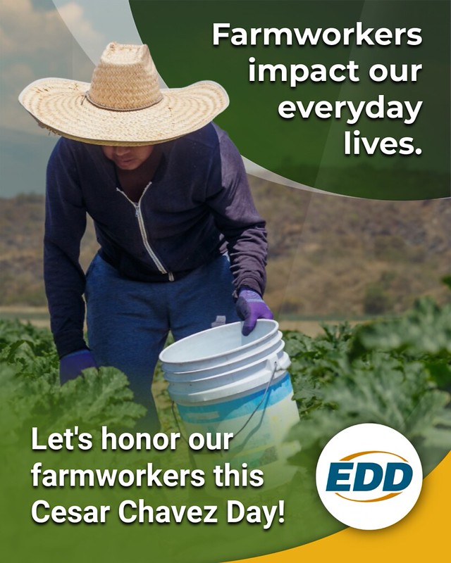 A farmworker in a wide straw hat and gloves harvests crops in a field. Overlaid text reads, &ldquo;Farmworkers impact our everyday lives. Let&rsquo;s honor our farmworkers this Cesar Chavez Day!&rdquo;