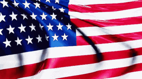 An image of an American flag.